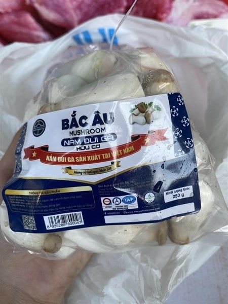 VE.M- Organic Mushrooms Bắc Âu 250GR (Nấm đùi gà)