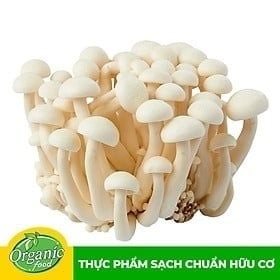 VE.M-Nấm. White Lingzhi Mushroom (Nấm thủy tiên/linh chi trắng) HQ 150g