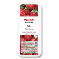 VEF- Frozen Strawberry Andros 600g T6