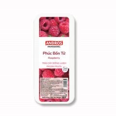 VEF- Frozen Raspberry Andros 500g T6