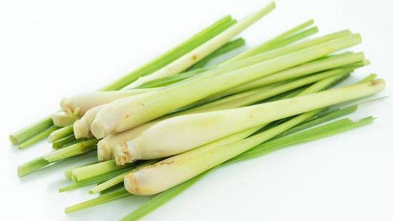 VE.H- Lemon Grass ( Sả tươi ) ( 1Kg / 1pcs )