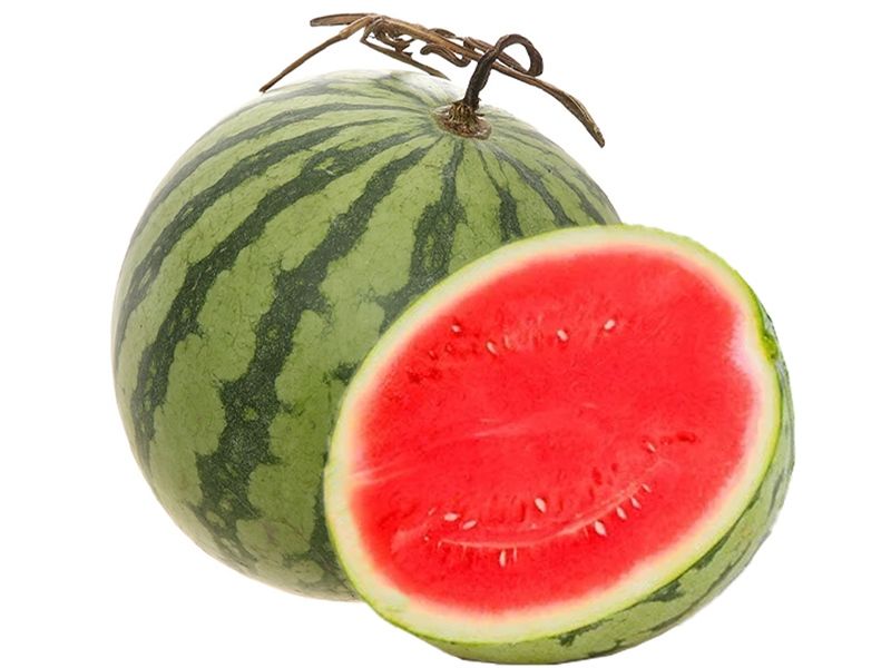FR.L- Seedless Watermelon MTD (Dưa hấu không hạt) -ĐN