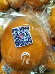 FR.I- Taiwan Orange (Cam Đài) -ĐN