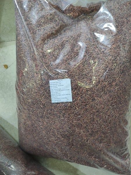GR.R- Red Rice 5kg (Gạo lứt đỏ) -ĐN