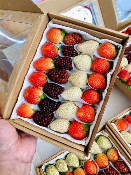 FR.I- Fresh Strawberry & Raspberry (Dâu Tây & Phúc Bồn Tử) 300g -NT