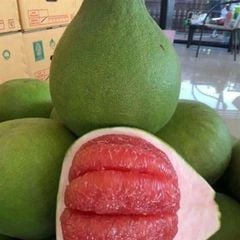 FR.L- Bưởi Đỏ Ruby - Ruby Pomelo (kg) (NT)