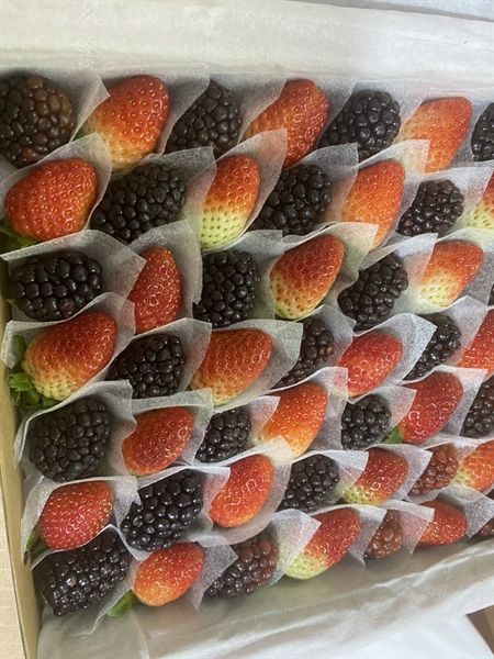 FR.I- Fresh Strawberry & Raspberry (Dâu Tây & Phúc Bồn Tử) 500g -ĐN