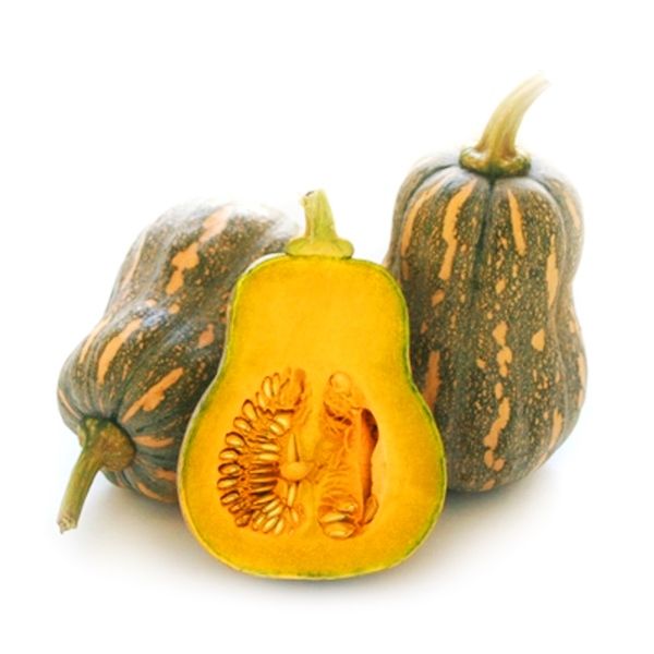 VE.R- Bí đỏ hồ lô - Pumpkin