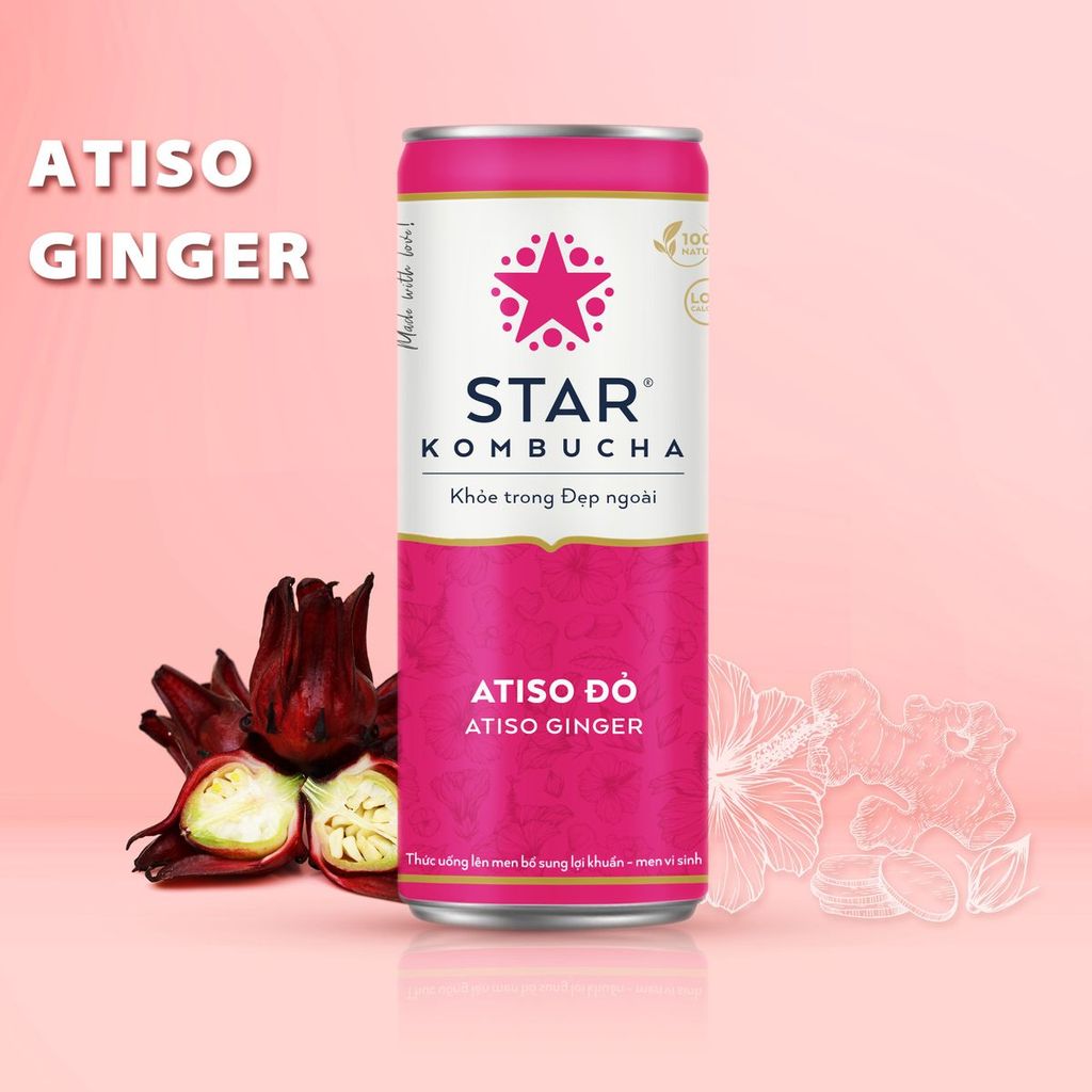 TE- Atiso Ginger Kombucha Star 250ml