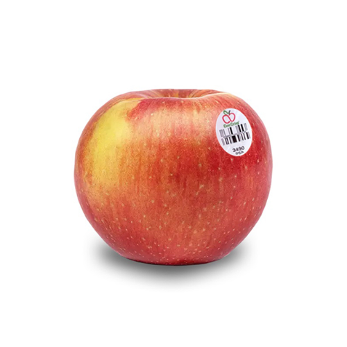 FR.I- Ever Crisp Apple USA ( Táo Ever Crisp Mỹ) - NT
