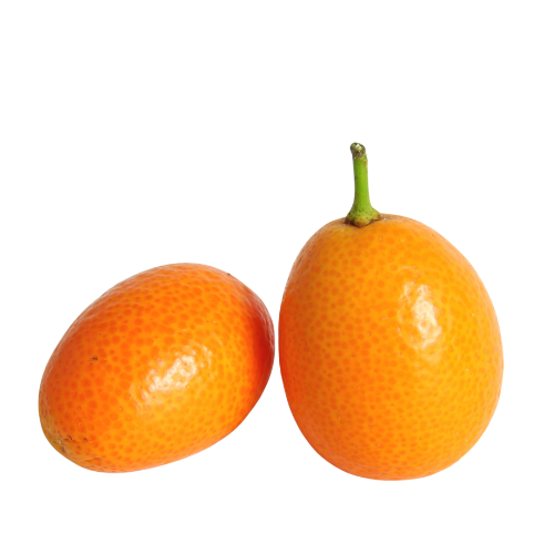 FR.I- Quả Kim Quất - Kumquat Fruit 400g