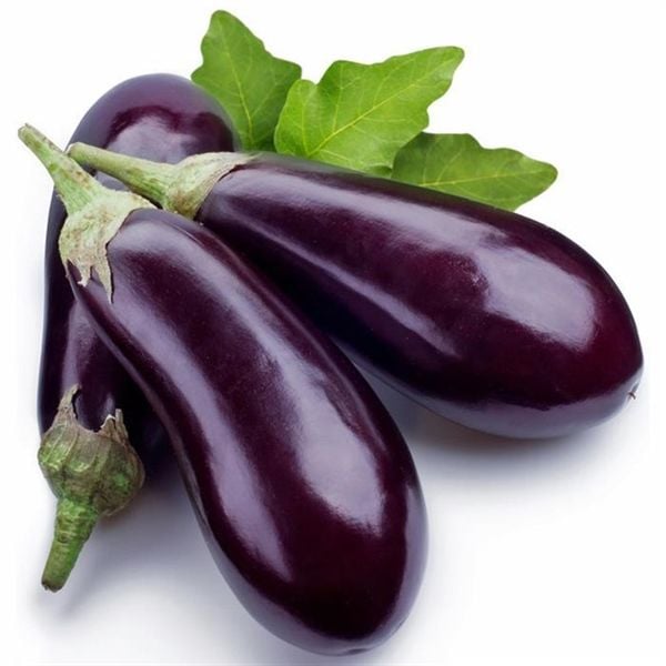 VE.R- Eggplant (Cà tím) -SG