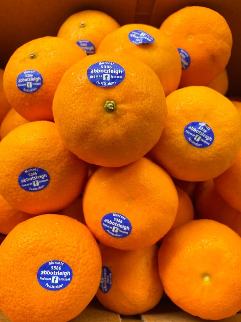 FRI- Quýt Úc - Fresh Mandarin Australian BM ( kg )