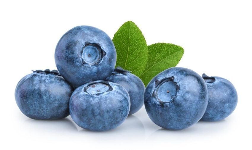 FR.I-Trái cây. Fresh Blueberry 125g (Việt quất) -NT
