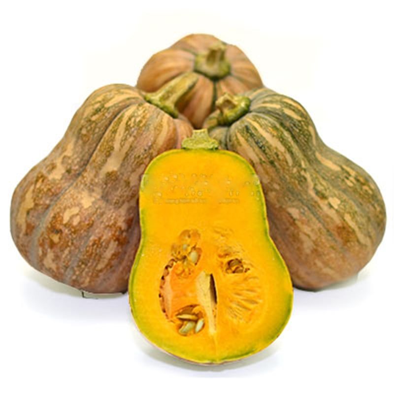 VEB- Butternut Squash ( Bí Đỏ Hồ Lô ) ( 1Kg / 1pcs 500g )