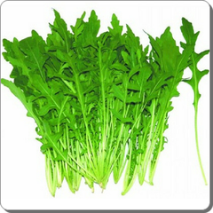 VE.H-Rau. Arugula/Rocket (Cải Rocket) -ĐN ecp