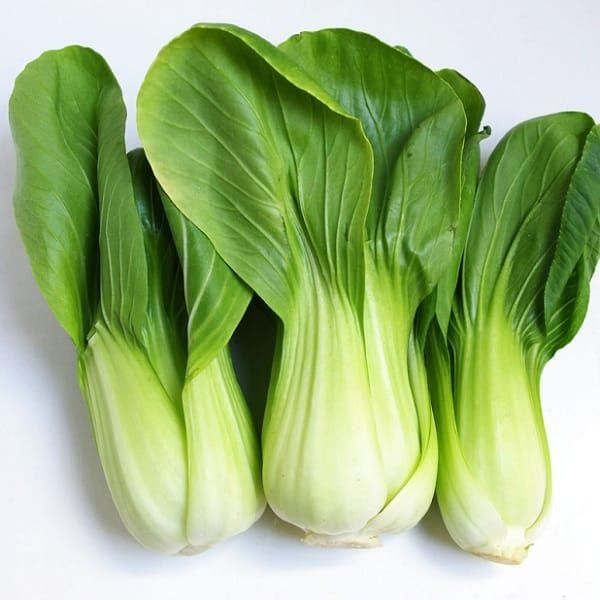 VE- Cải thìa thủy canh - Hydroponic Bok Choy Da Lat ( Kg )