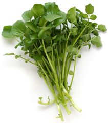 VE.H-Rau. Watercress (Cải xoong) -NT