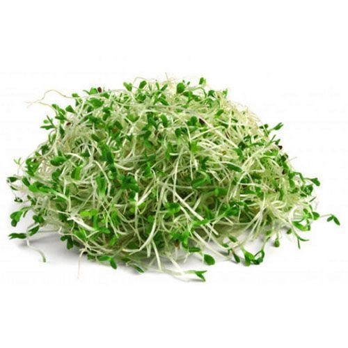 VE.V- Mustard Greens Sprouts (Cải mầm) -NT
