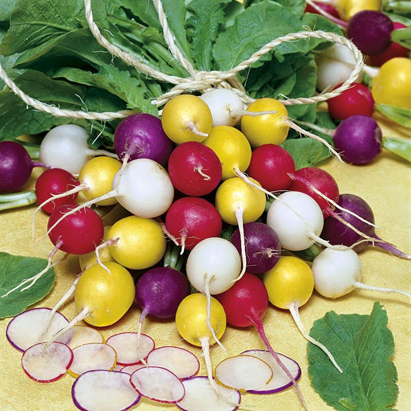 VEB- Color Radish ( Củ cải màu ) ( 1kg / 1pcs )