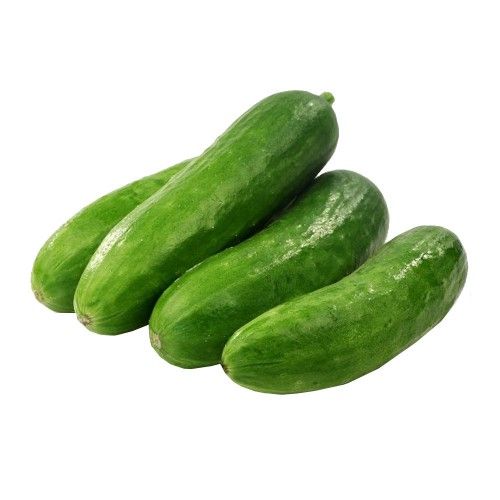 VEB- Cucumber ( Dưa leo )  ( 1Kg / 1pcs )