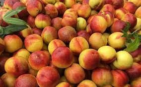 FR.I- Chinese Peaches (Quả đào) -SG