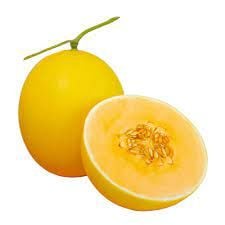 FR.L- Golden Cucumis Melon (Dưa vàng hoàng kim) -NT