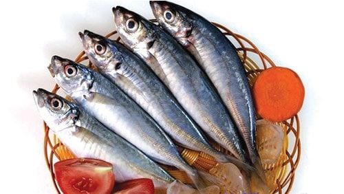 ME.F- Scad Fish (Cá nục tươi)