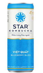 TE- Blueberry Bliss Kombucha Star 250ml T2