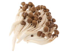VE.M- Brown Lingzhi Mushroom (Nấm linh chi nâu) 150g