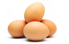 EG- Trứng gà - Chicken Egg