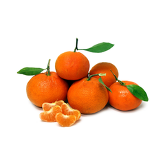 FR.I- Thailan Mandarin (Quýt thái) - NT