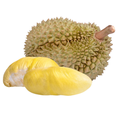 FR- Sầu riêng tươi nguyên vỏ - Durian Fruits