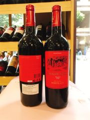 WI.R-Rượu. Red Wine Chale Gary Merlot 2021 13.5%