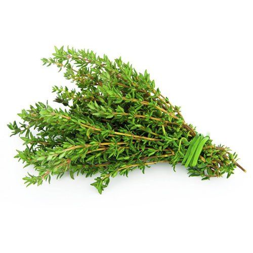 VEC- Fresh Thyme ( Xạ hương tươi ) ( 1Kg / 1 pack 50g )