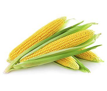 VEB- American Corn - Bắp Mỹ ( Trái )