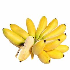 FR.L- Areca Banana (Chuối cau) -HA