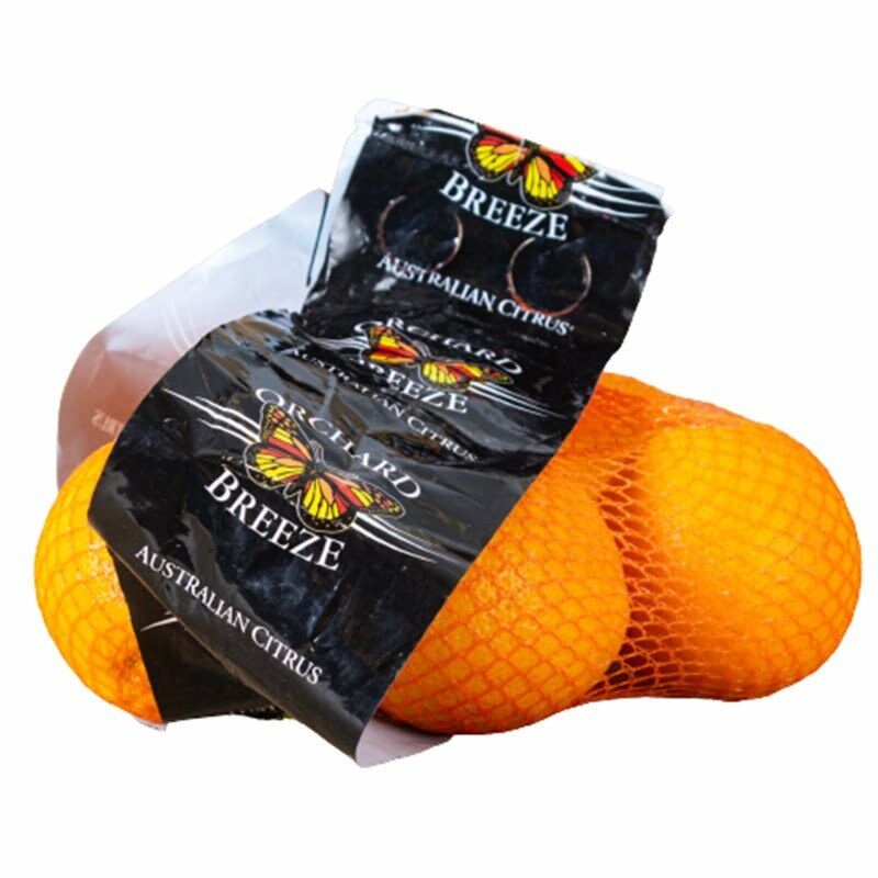 FR- Cam Navel Úc - Navel AUS Orange