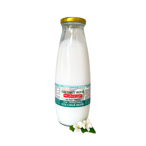DY- Kefir Vegan Coconut Yogurt Daissy 480ml
