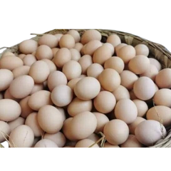 EG- Small Chicken Egg (Trứng gà nhỏ)