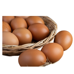 EG- Chicken Egg (Trứng gà nâu hộp)