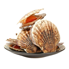 ME.F- Mussels NZL OKiniFood 300g