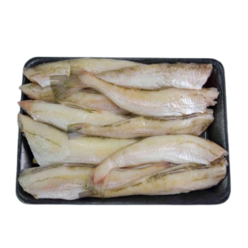 ME.F- Frozen Pollock Fish (Cá minh thái đông lạnh)