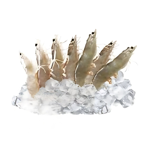 ME.F- Shrimp Fresh Size 40-50 (Tôm tươi)