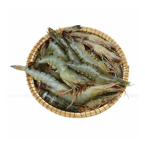 ME.F- Shrimp Fresh Size 50-55 (Tôm tươi size trung)