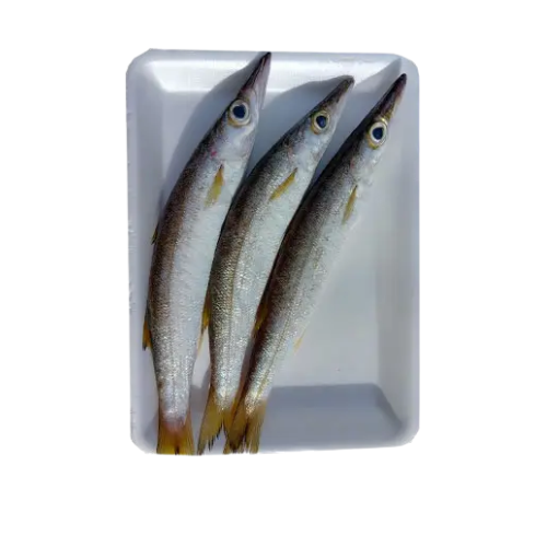 ME.F- Barracuda Fish (Cá Nhồng)