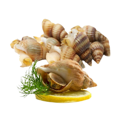 ME.F- Bulot Snails OKiniFood 300g
