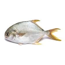 ME.F- Silver Pomfret Fish (Cá Chim Trắng)