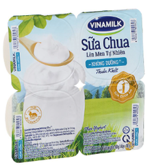 DY- Les Sugar Yogurt Green Farm 100g T5