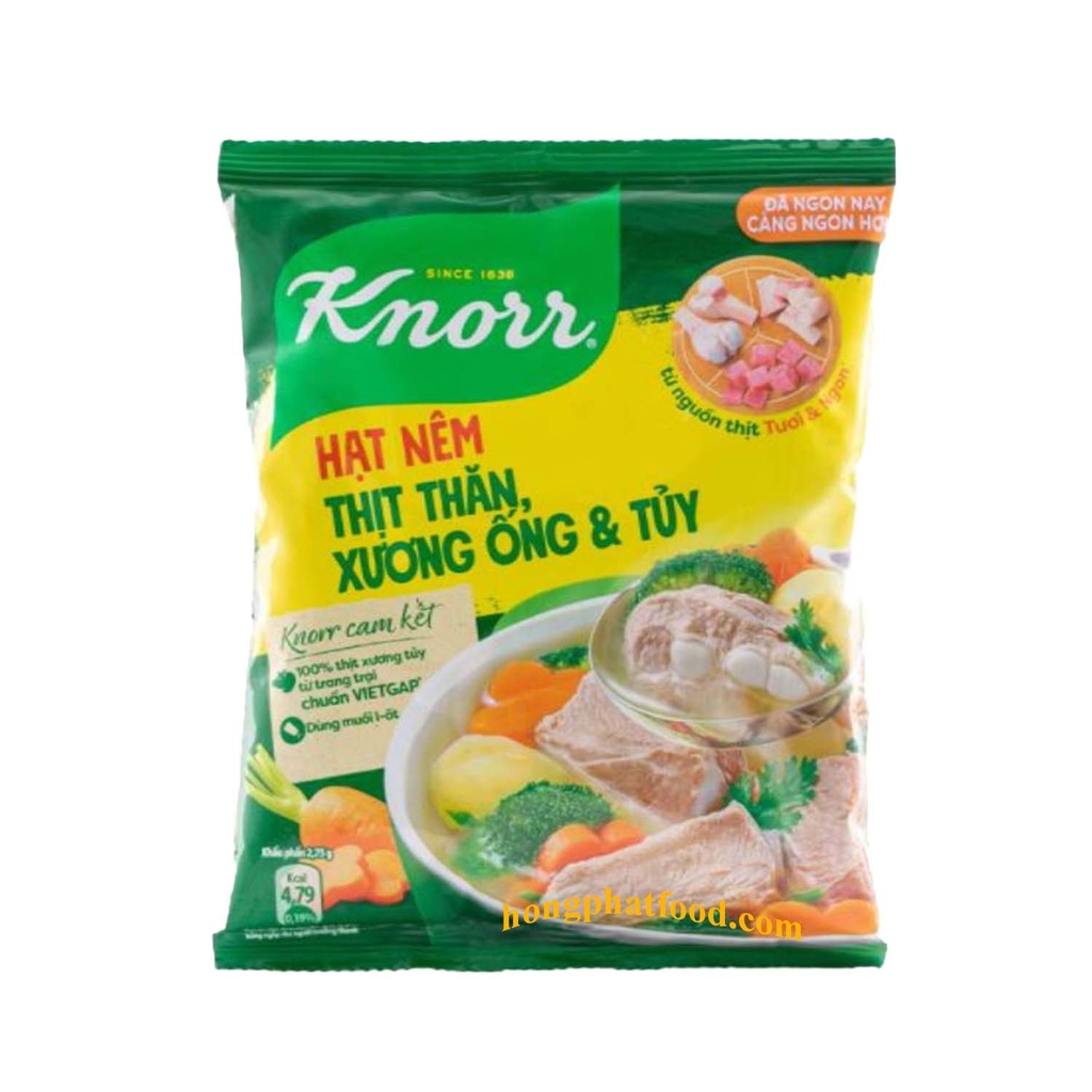 SD- Pork Flavor Seasoning Powder Knorr 400g